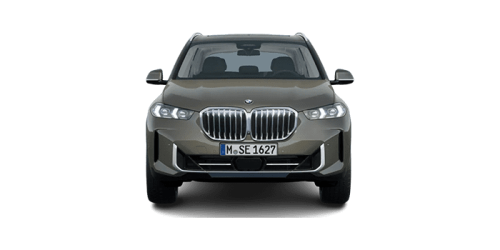 BMW_X5_2024년형_디젤 3.0_xDrive30d xLine_color_ext_front_맨해탄 메탈릭.png