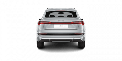 아우디_e tron_2023년형_소프트백 전기_55 Quattro SportBack_color_ext_back_Floret Silver Metallic.png